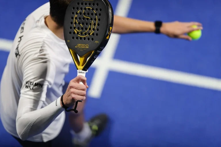 ce studii are simona halep