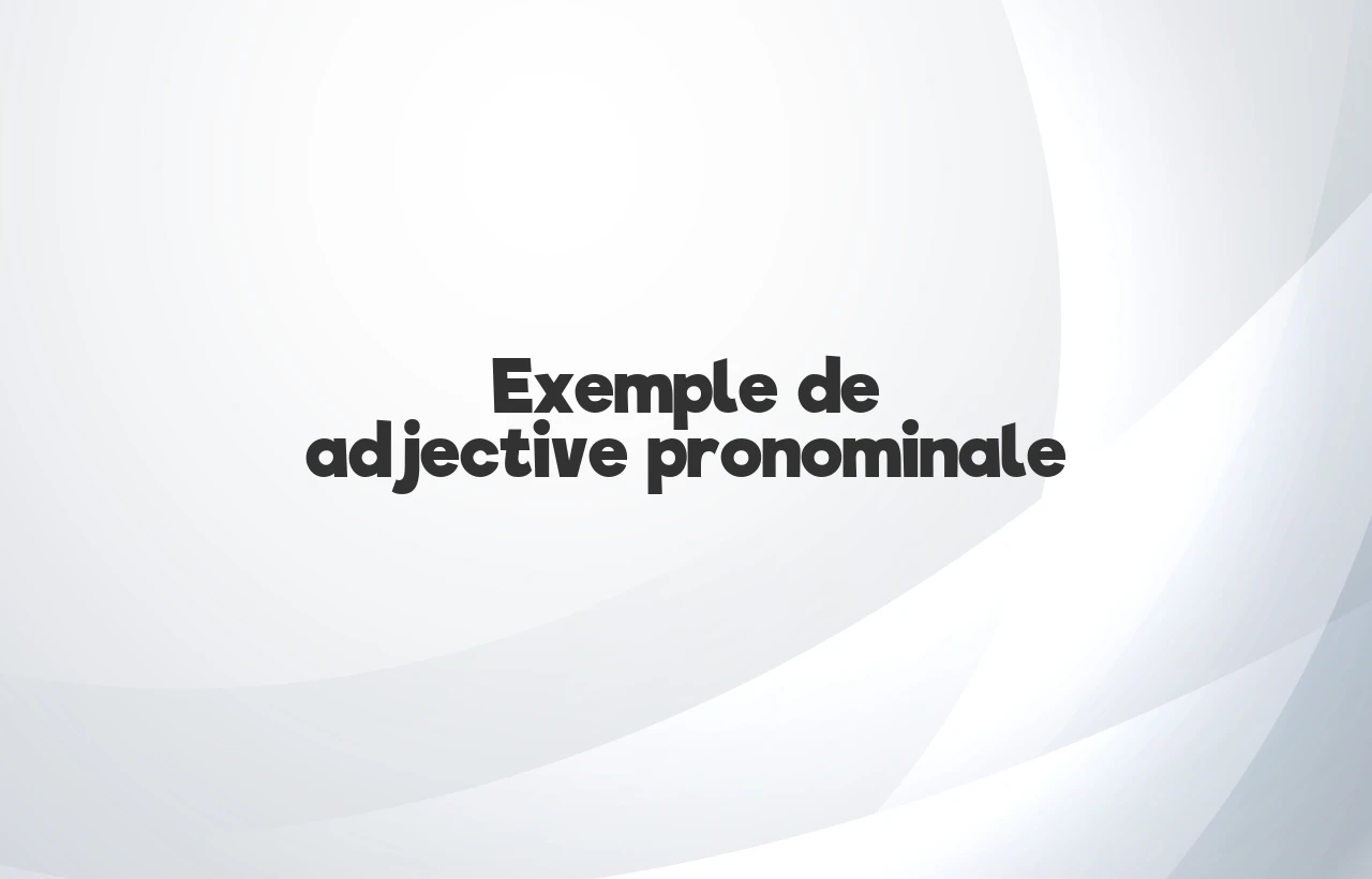 exemple de adjective pronominale