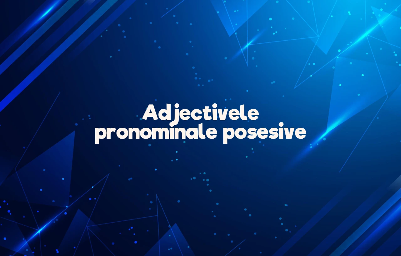 adjective pronominale posesive