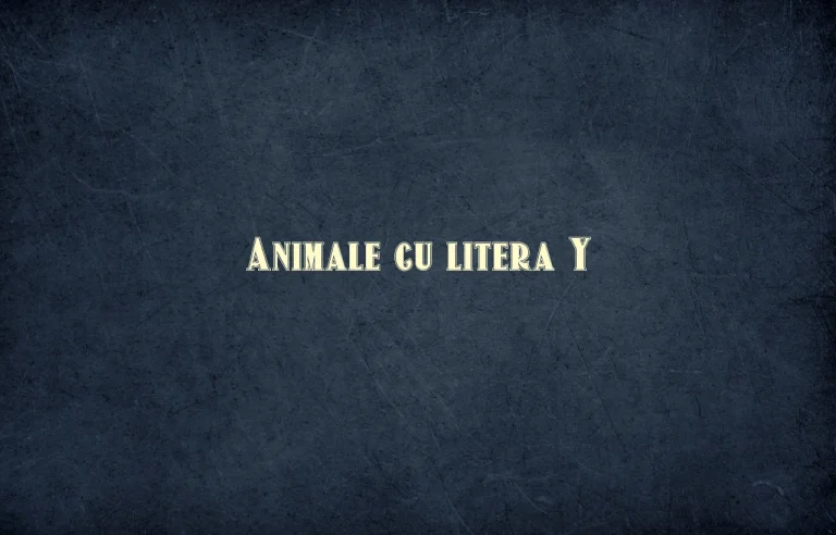 animale cu litera y