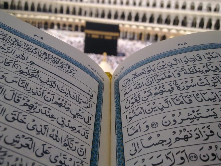 campionatul arabiei saudite