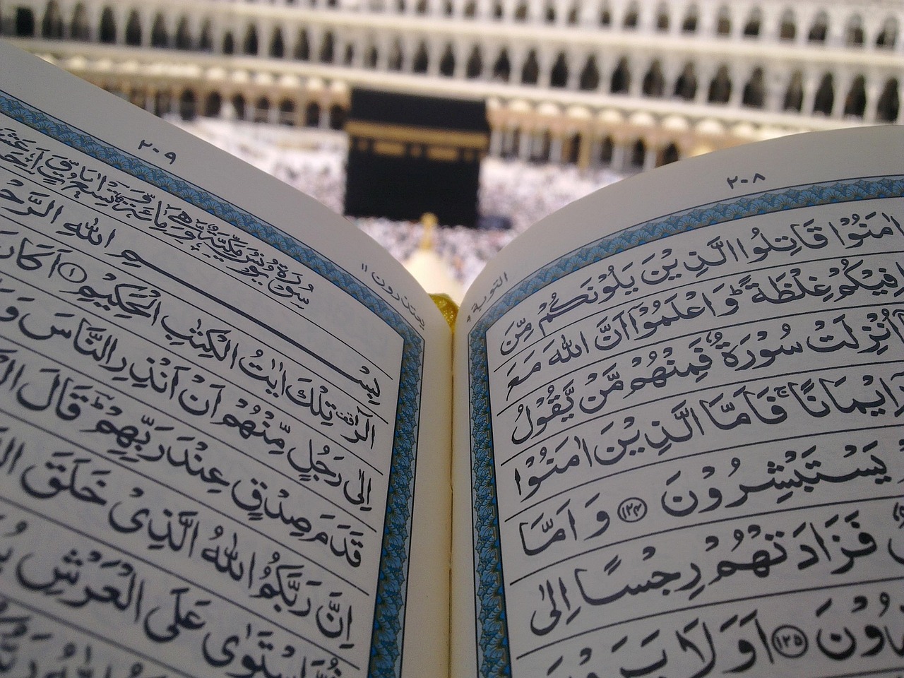 campionatul arabiei saudite