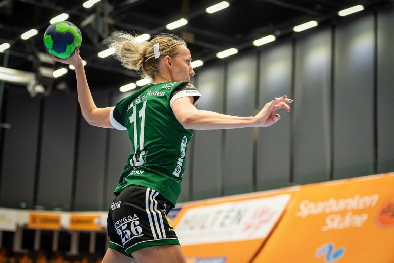 campionatul mondial de handbal masculin